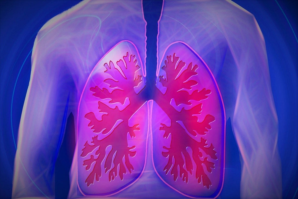 Breathe Easy: A Guide to Healthy Lungs